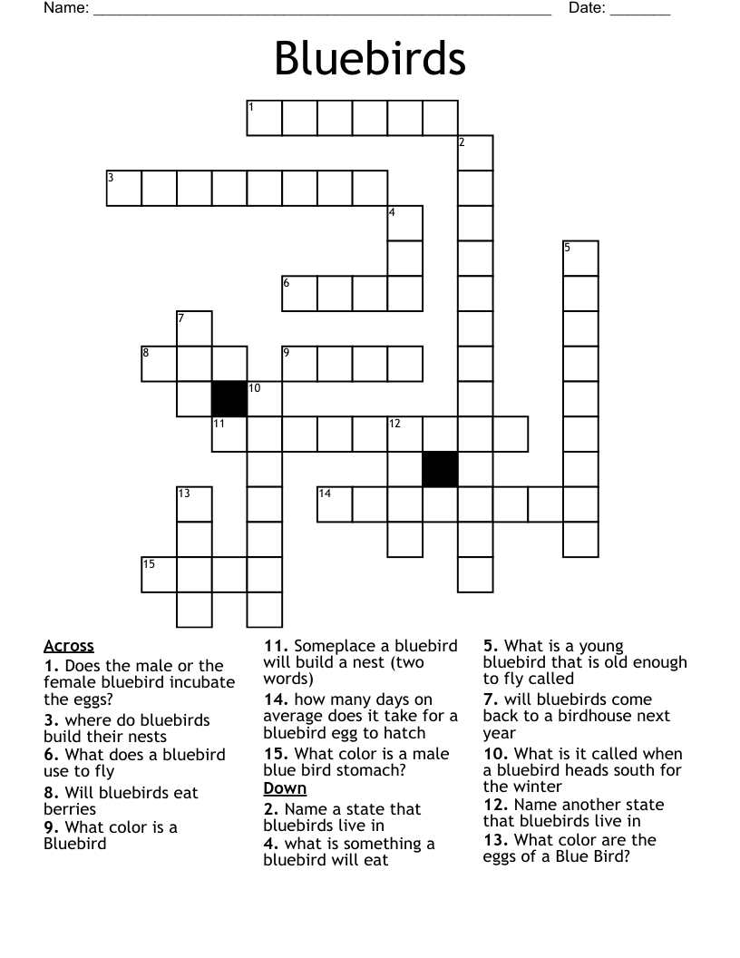 Bluebirds Crossword