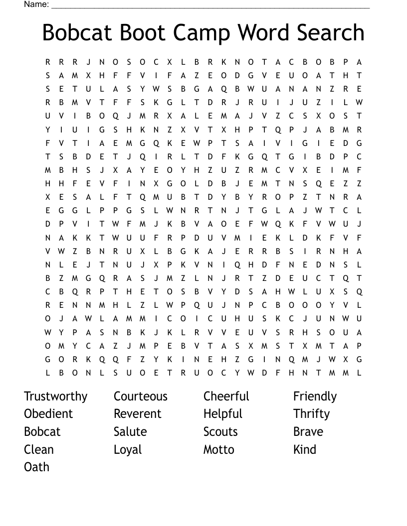 Bobcat Boot Camp Word Search