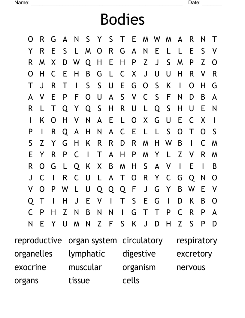 Bodies Word Search