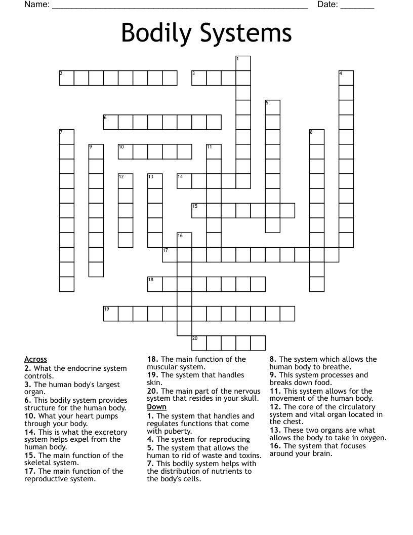 Bodily Systems Crossword