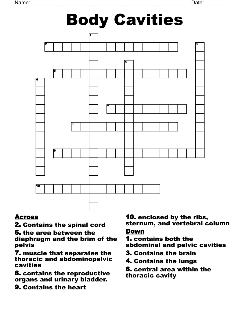 Body Cavities  Crossword