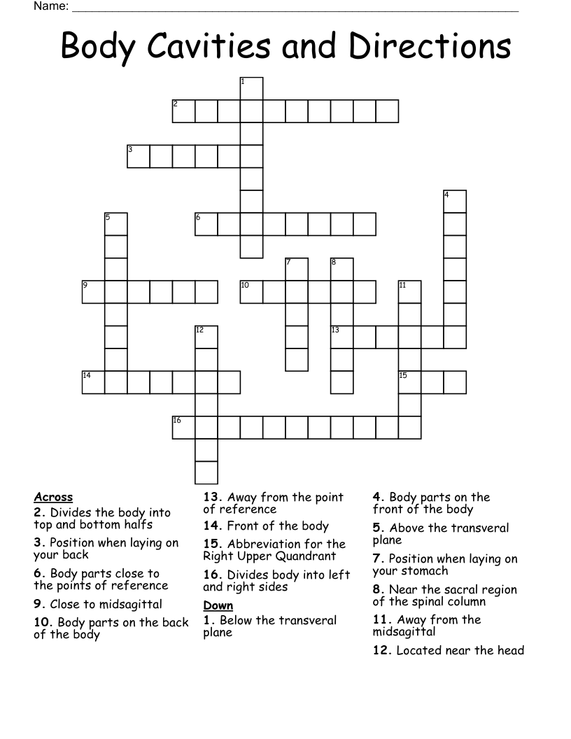Body Cavities and Directions Crossword