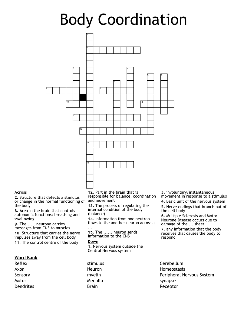 Body Coordination Crossword