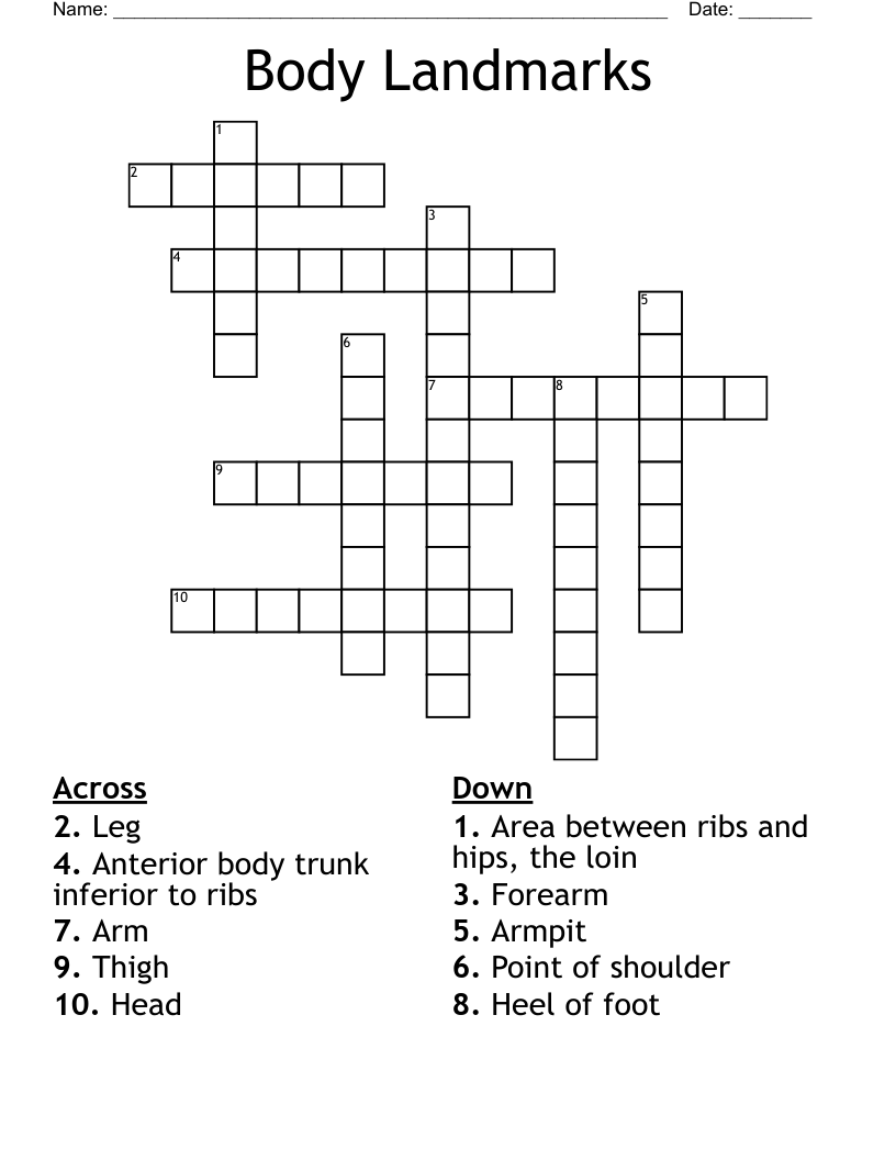 Body Landmarks Crossword