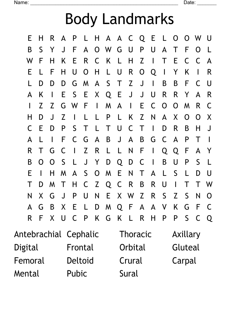 Body Landmarks Word Search
