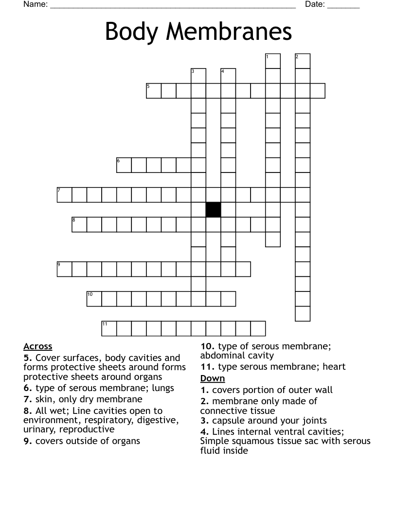 Body Membranes Crossword