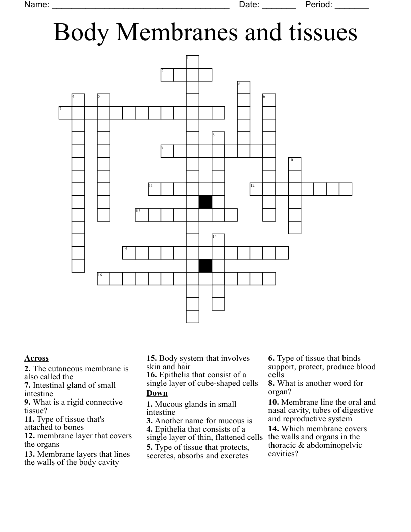 Body Membranes and tissues Crossword