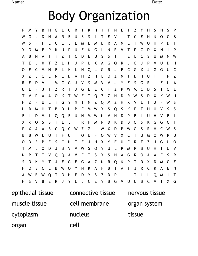 Body Organization Word Search