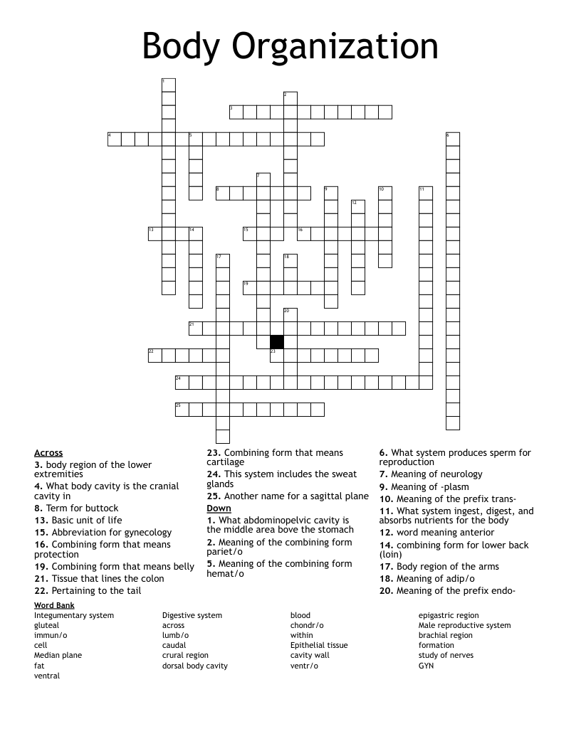 Body Organization  Crossword