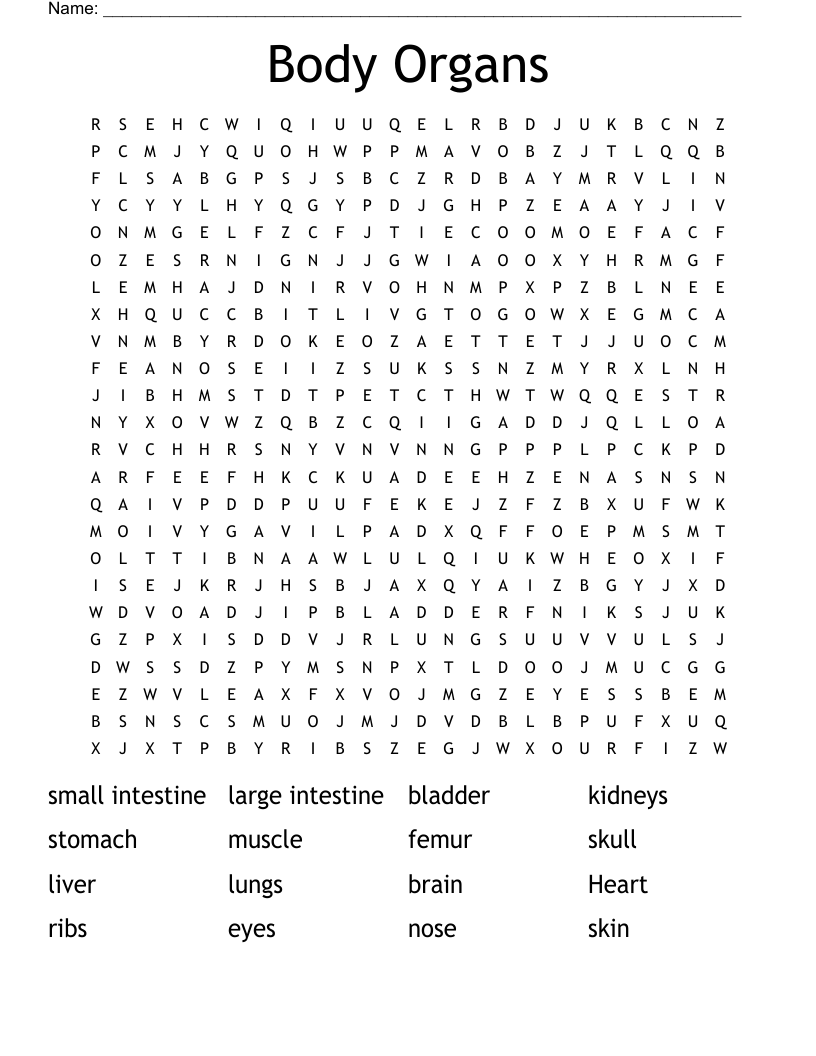 Body Organs Word Search