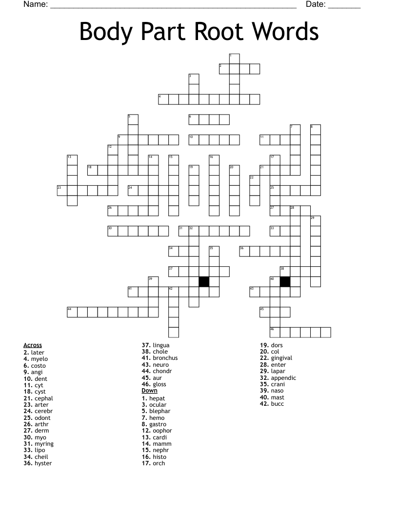 Body Part Root Words Crossword