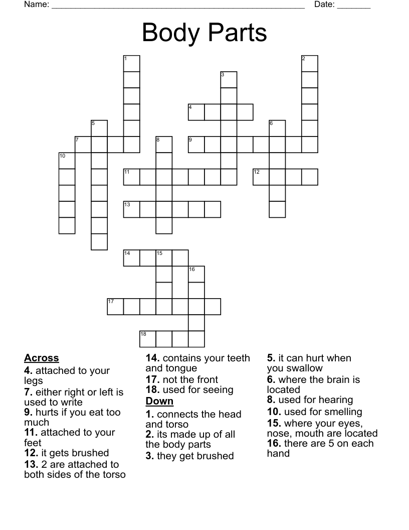 Body Parts Crossword