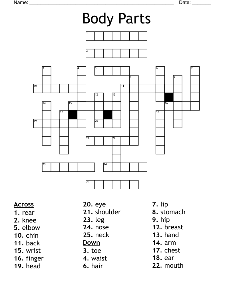 Body Parts Crossword