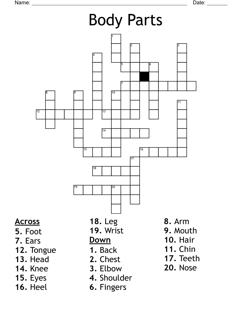 Body Parts Crossword