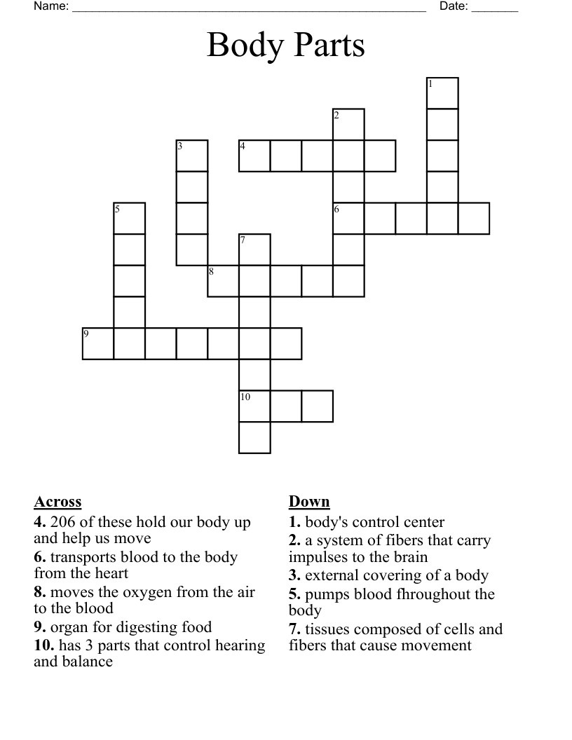 Body Parts Crossword