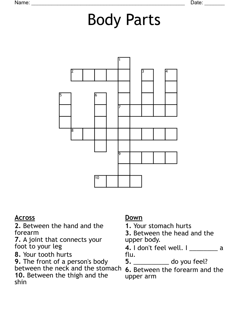 Body Parts Crossword