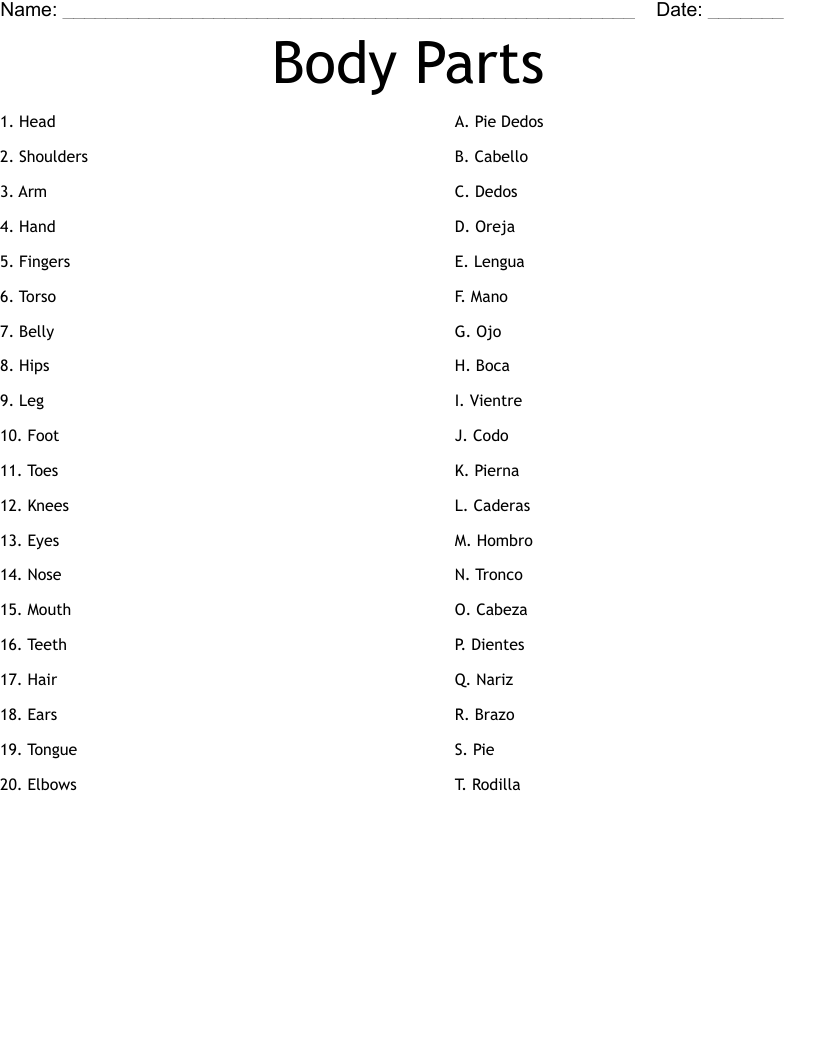 Body Parts Worksheet