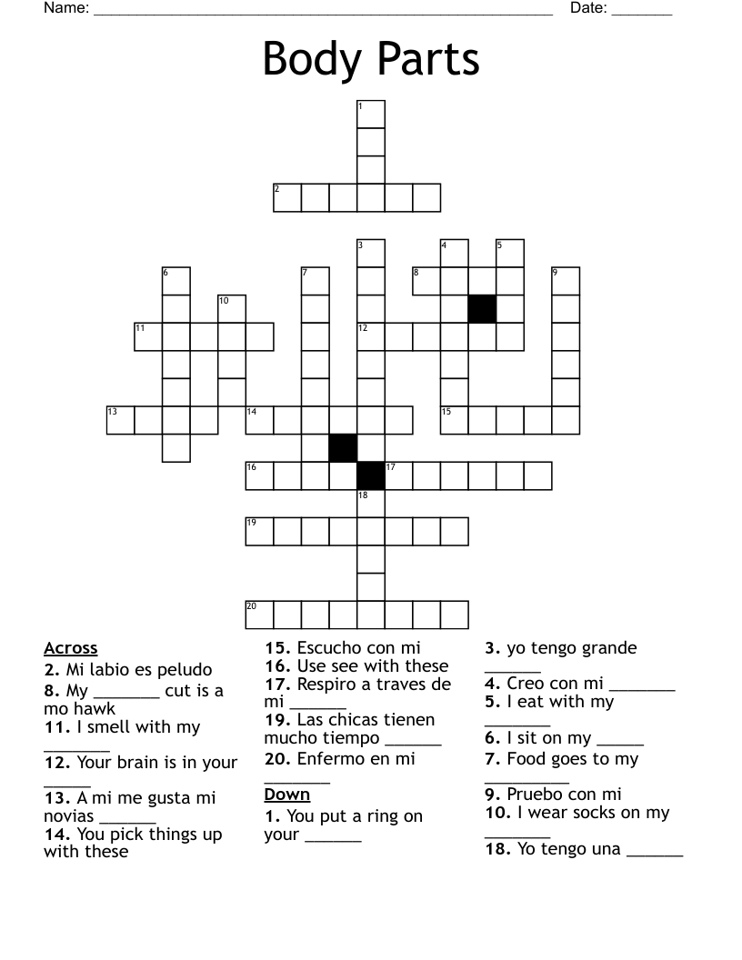 Body Parts Crossword