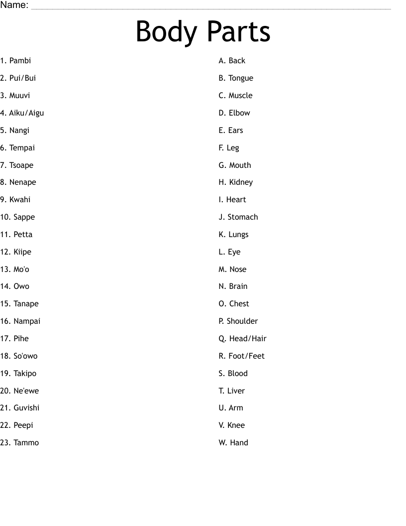 Body Parts Worksheet