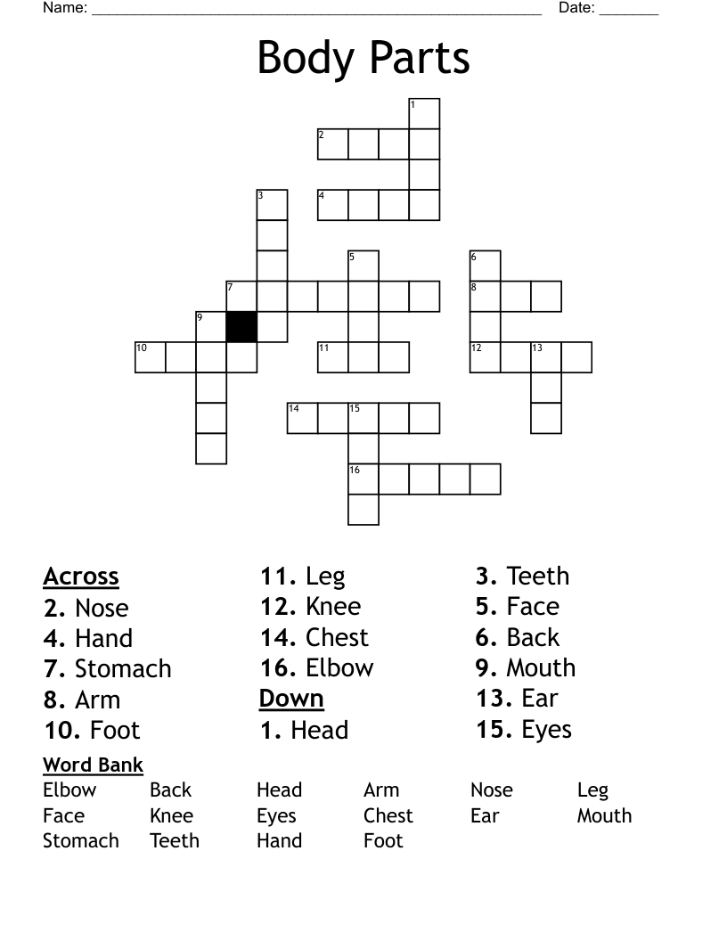 Body Parts Crossword