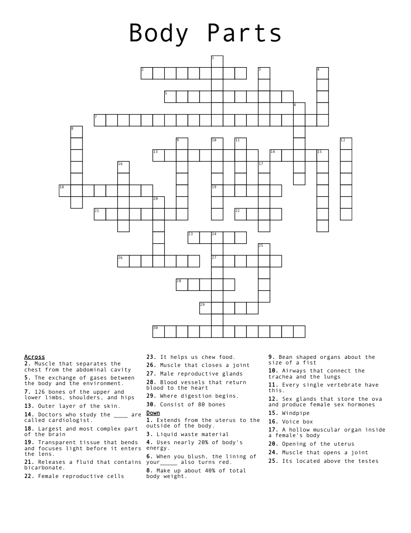 Body Parts Crossword