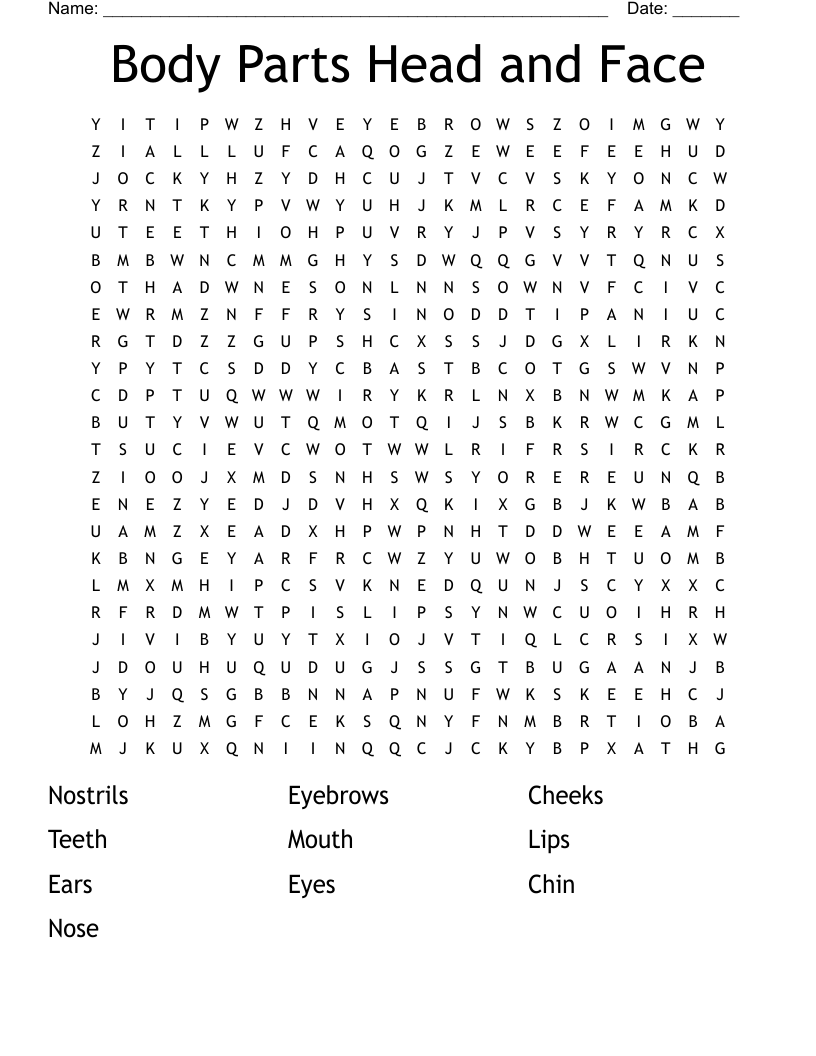 Body Parts Head and Face Word Search