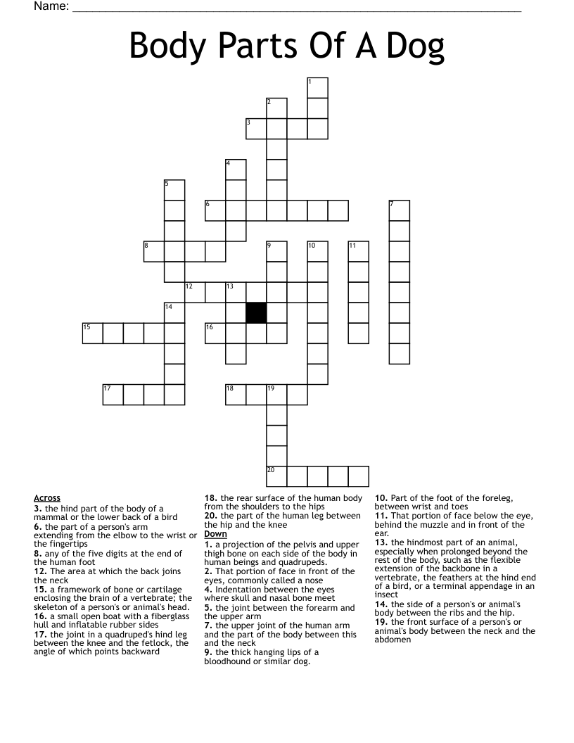 Body Parts Of A Dog Crossword