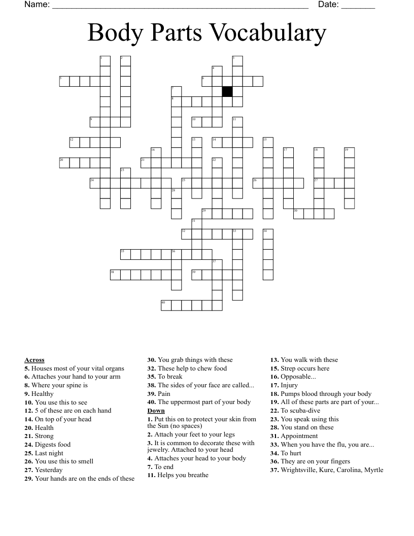 Body Parts Vocabulary Crossword