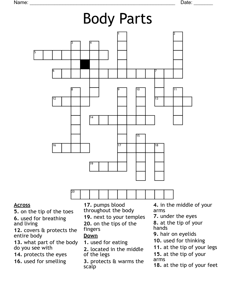 Body Parts  Crossword