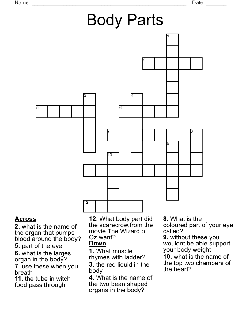 Body Parts  Crossword