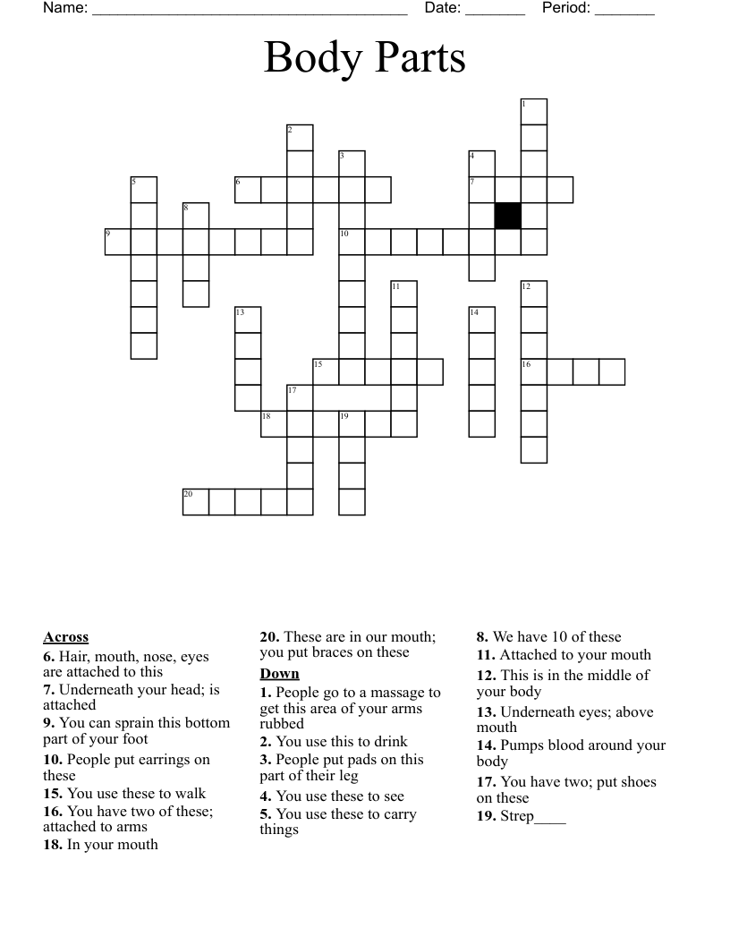 Body Parts  Crossword