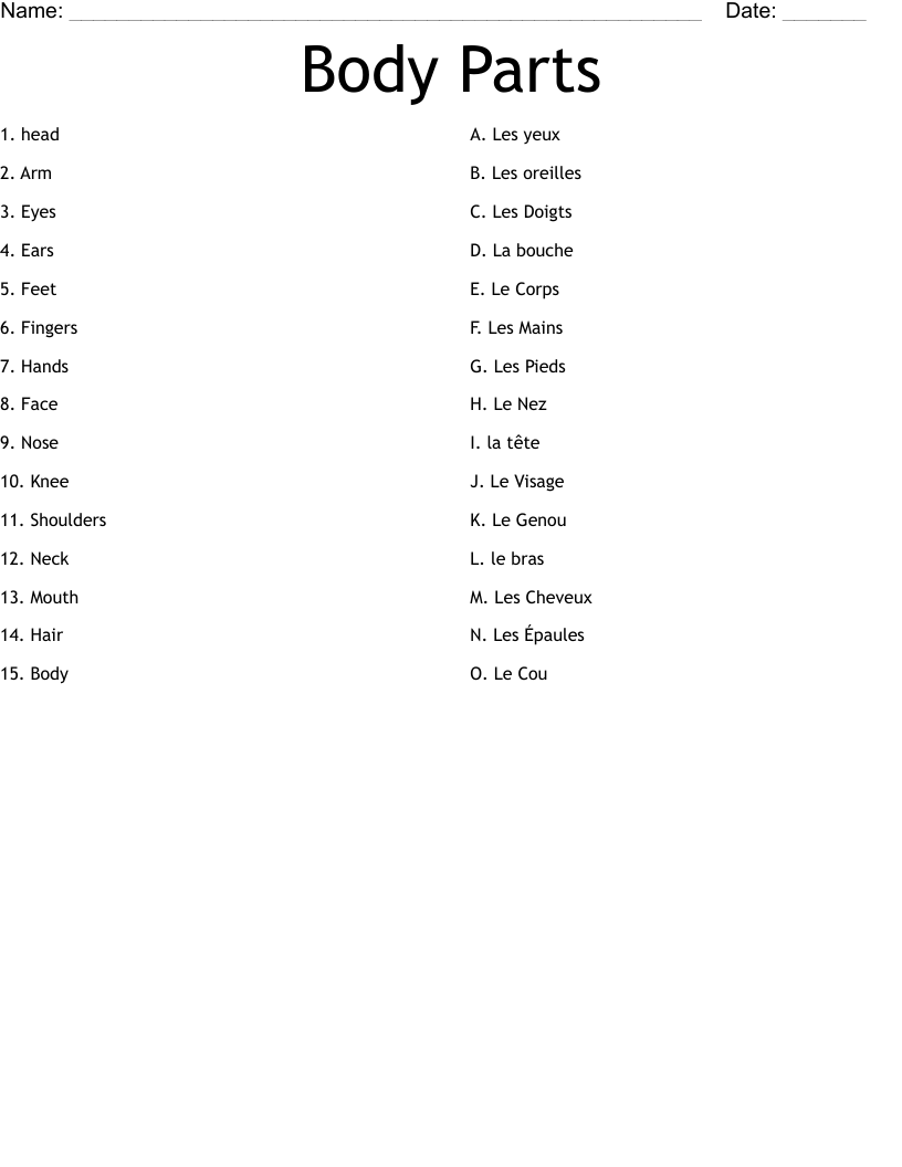 Body Parts  Worksheet