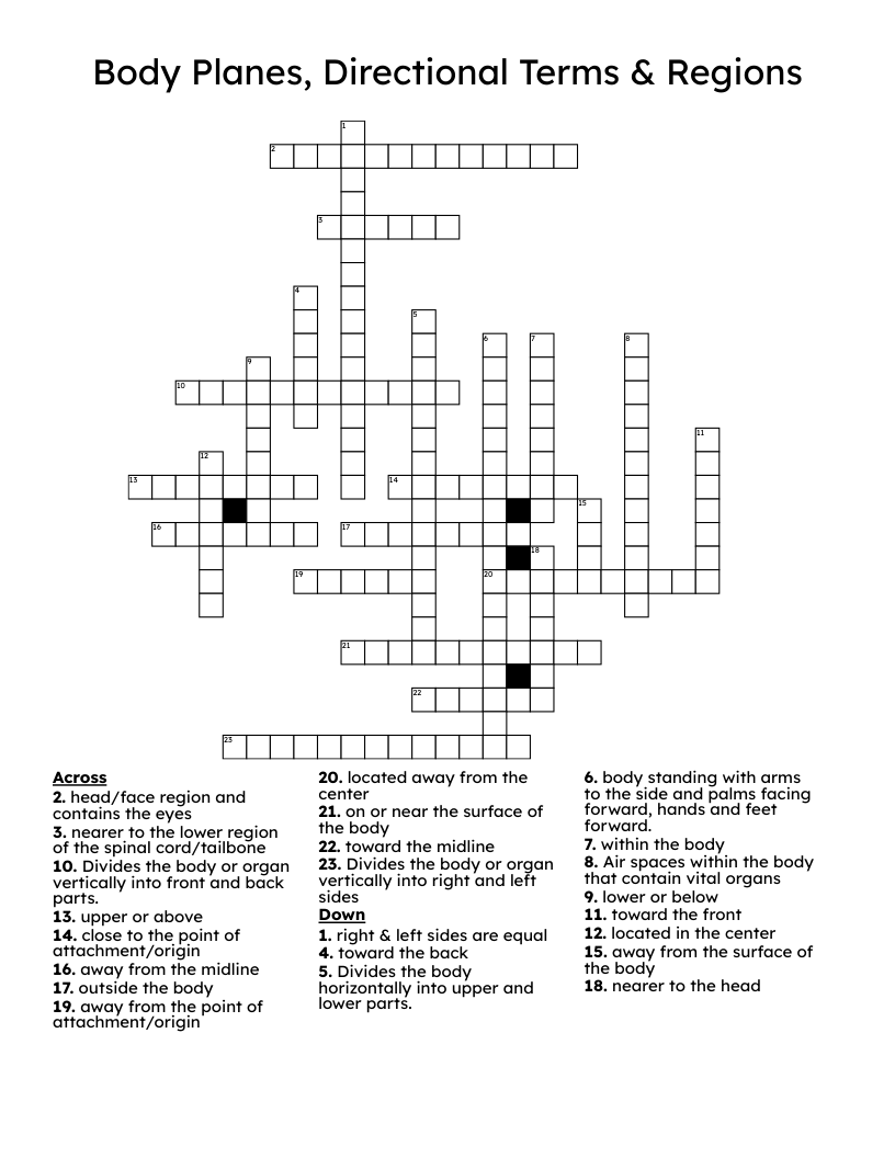 Body Planes, Directional Terms & Regions Crossword