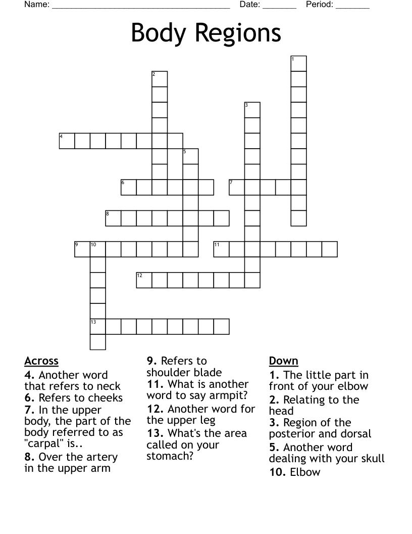 Body Regions Crossword
