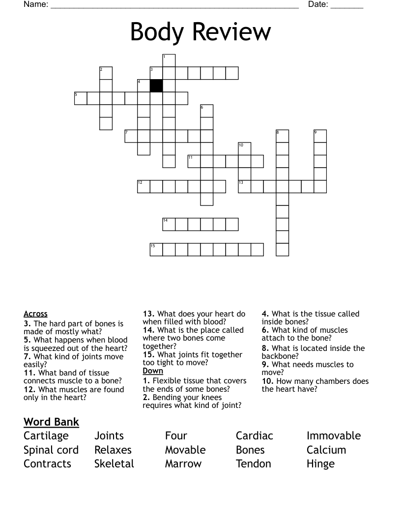 Body Review  Crossword