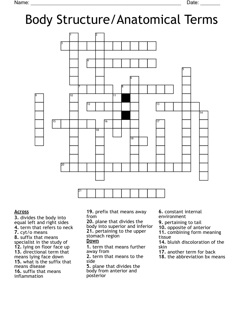 Body Structure/Anatomical Terms Crossword