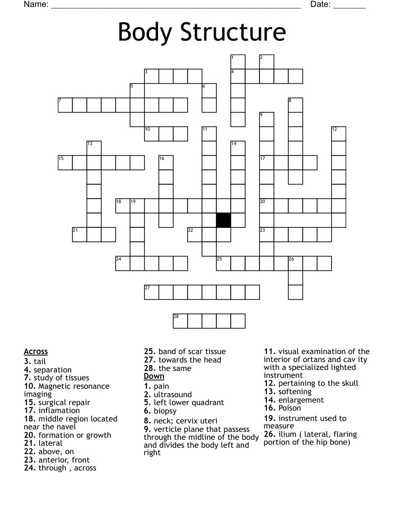 Body Structure Crossword