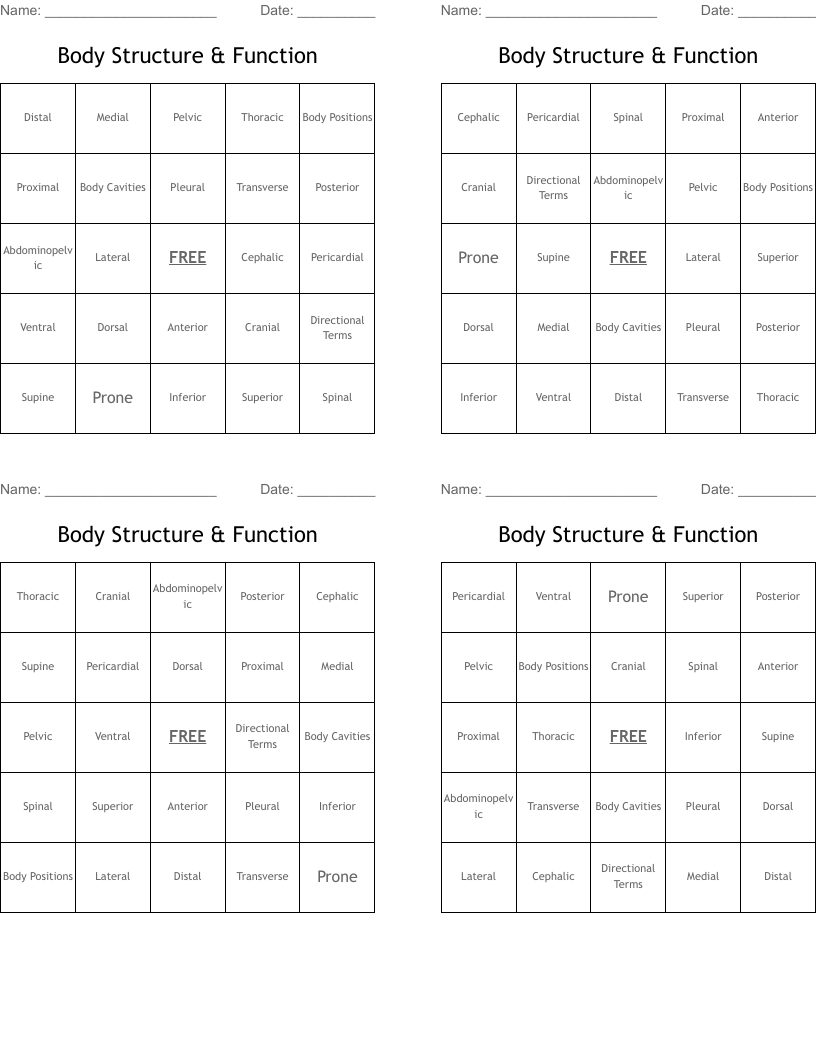 Body Structure & Function  Bingo Cards