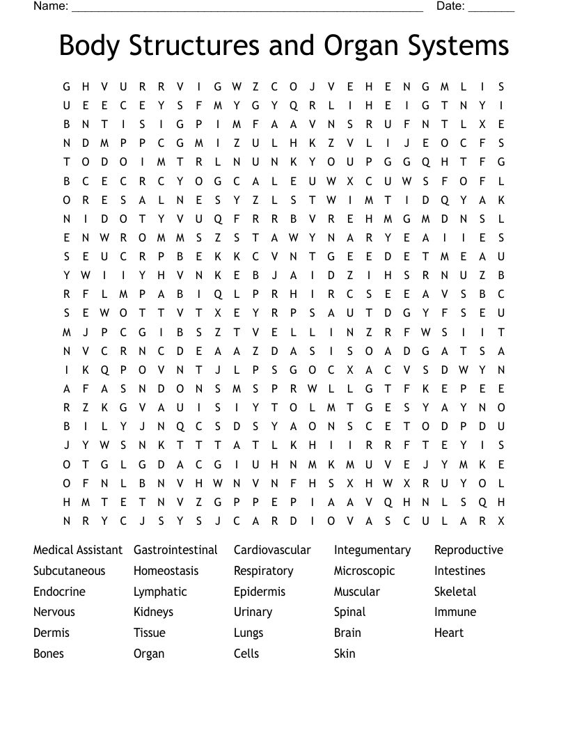 Body Structures and Organ Systems Word Search
