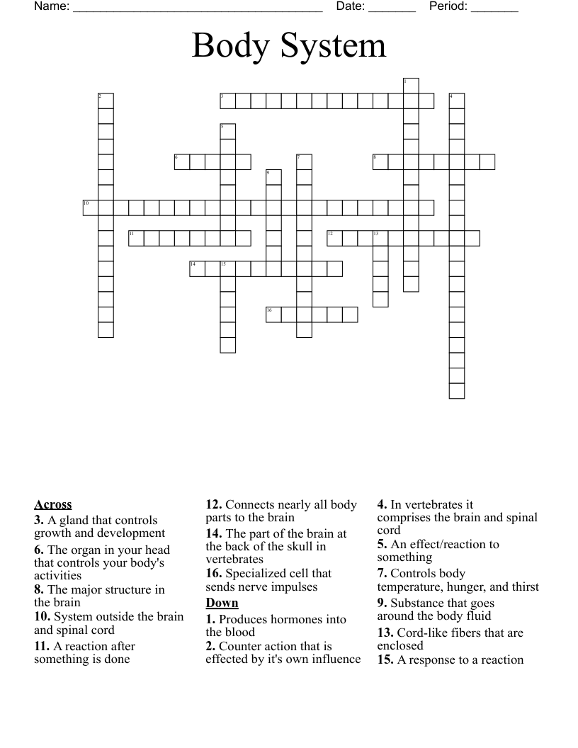 Body System Crossword