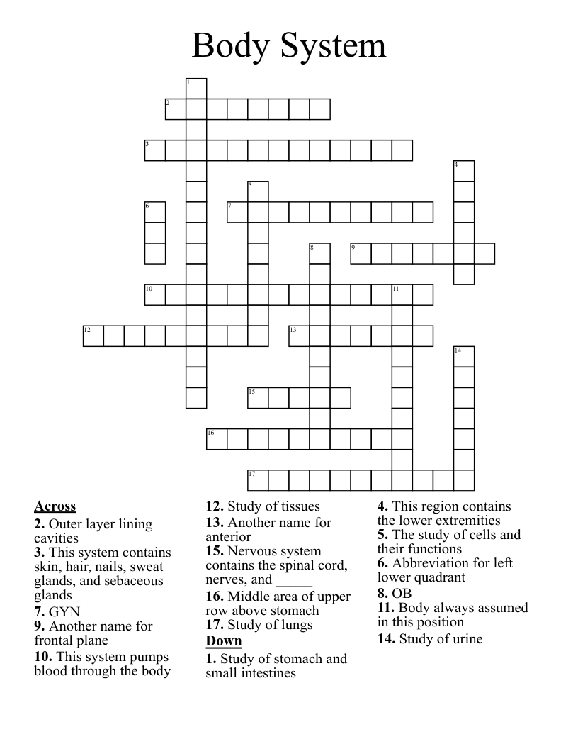 Body System Crossword