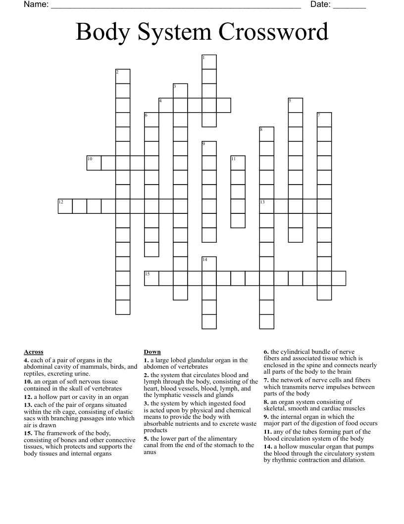 Body System Crossword