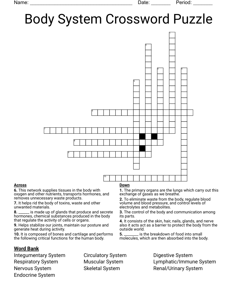 Body System Crossword Puzzle