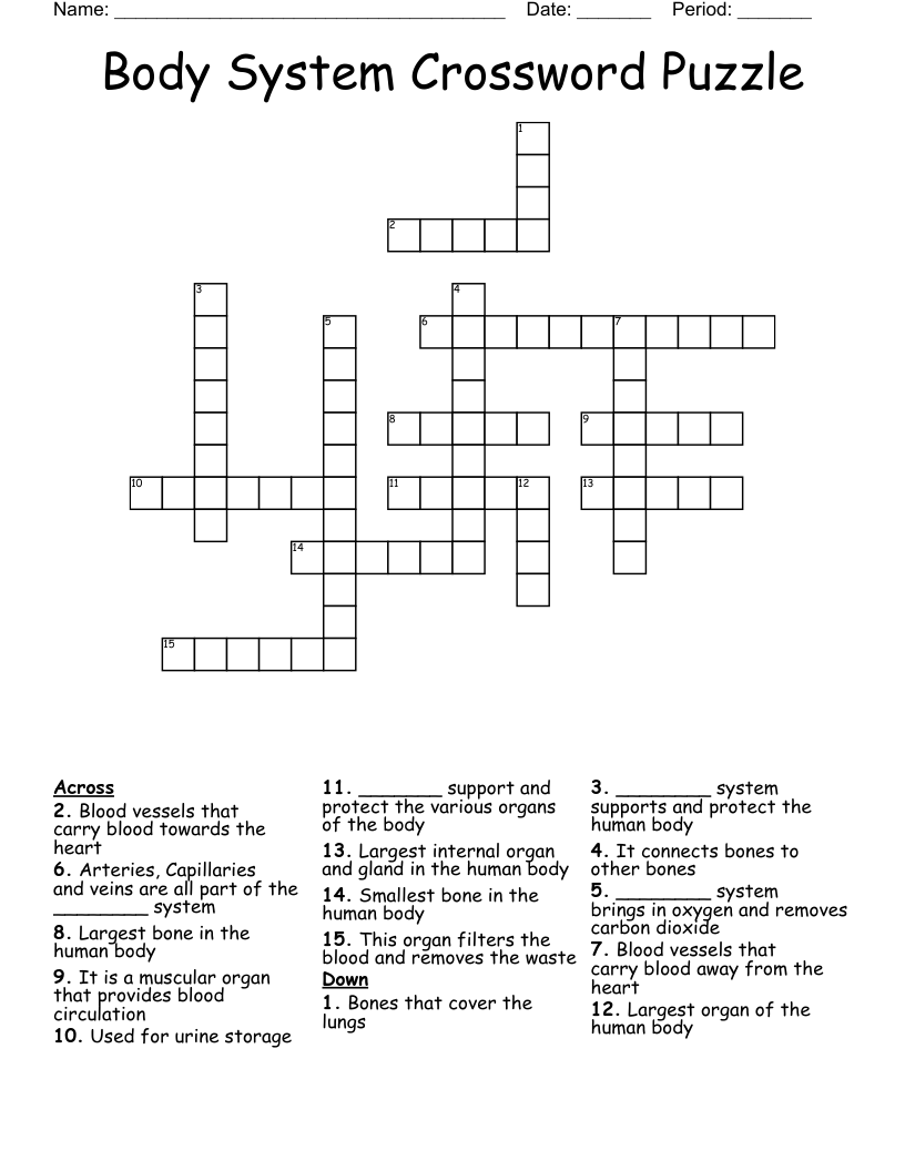 Body System Crossword Puzzle 