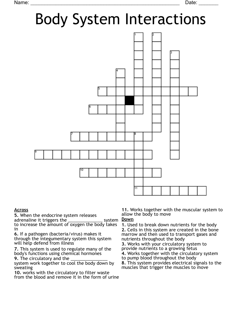 Body System Interactions Crossword
