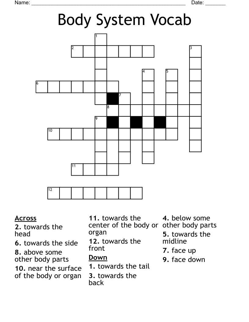 Body System Vocab Crossword