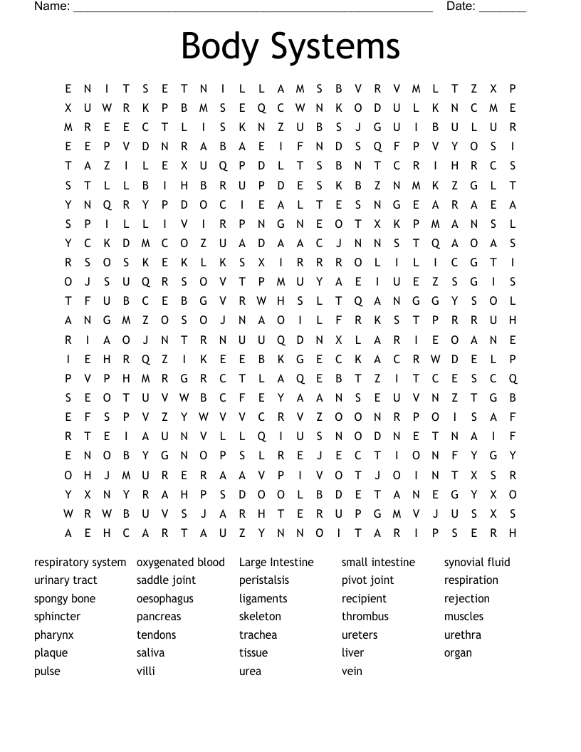 Body Systems Word Search