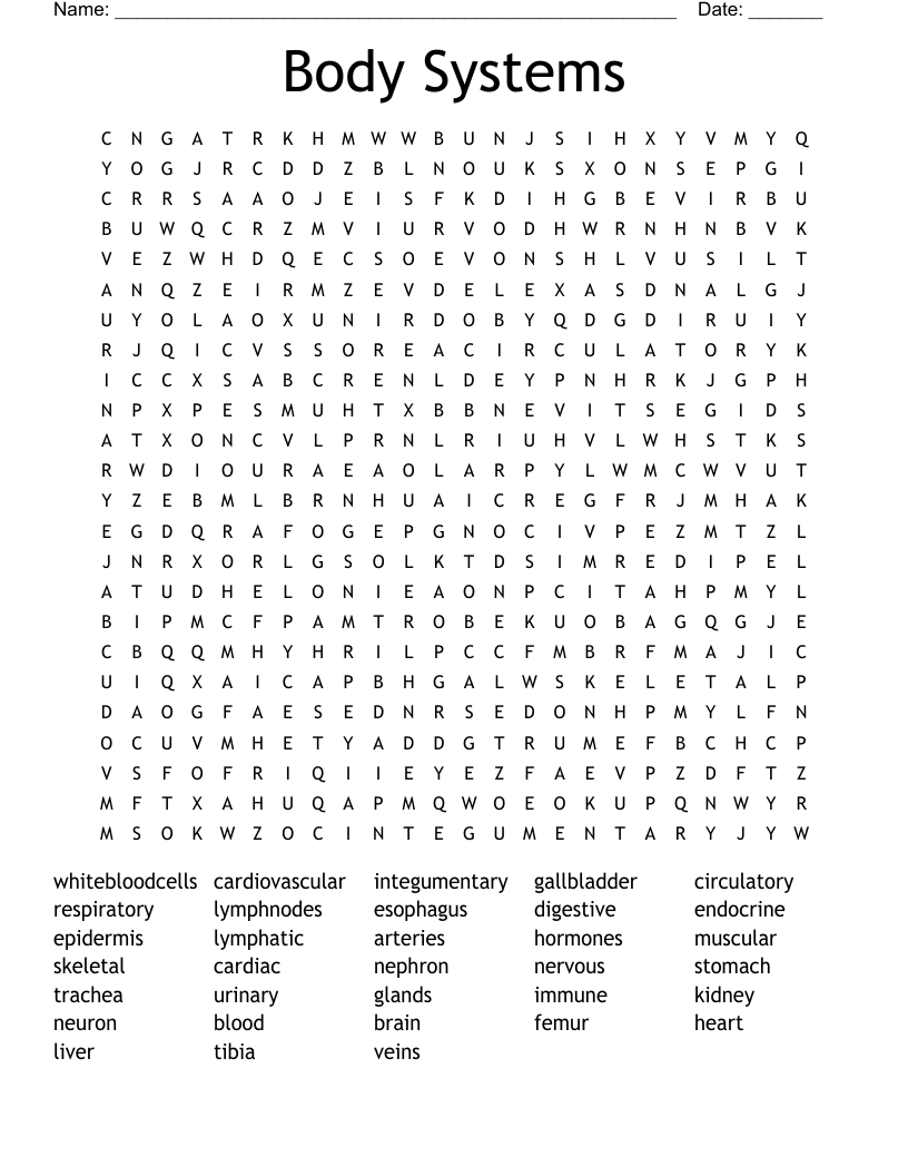 Body Systems Word Search