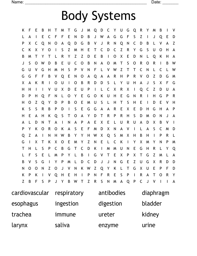 Body Systems Word Search