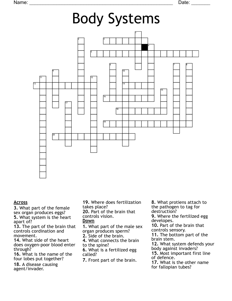 Body Systems Crossword